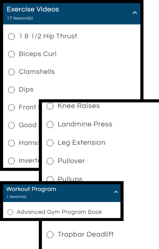 Advanced Gym Program