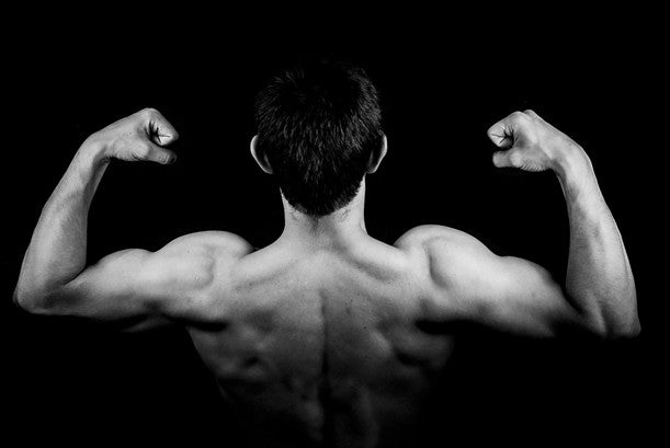 Being Shredded - Is It Sustainable?