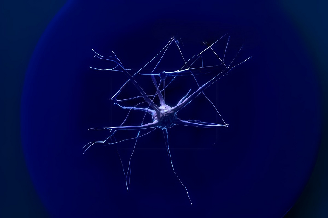 Neuroplasticity Part One - What Exactly Is It?