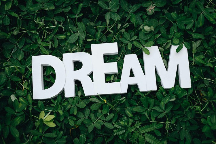 The Dreamer Mindset