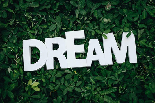The Dreamer Mindset